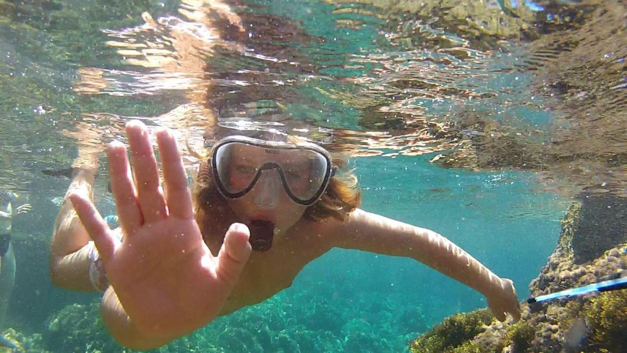 Son Riera Petit Paradís Banyalbufar Bagian luar foto